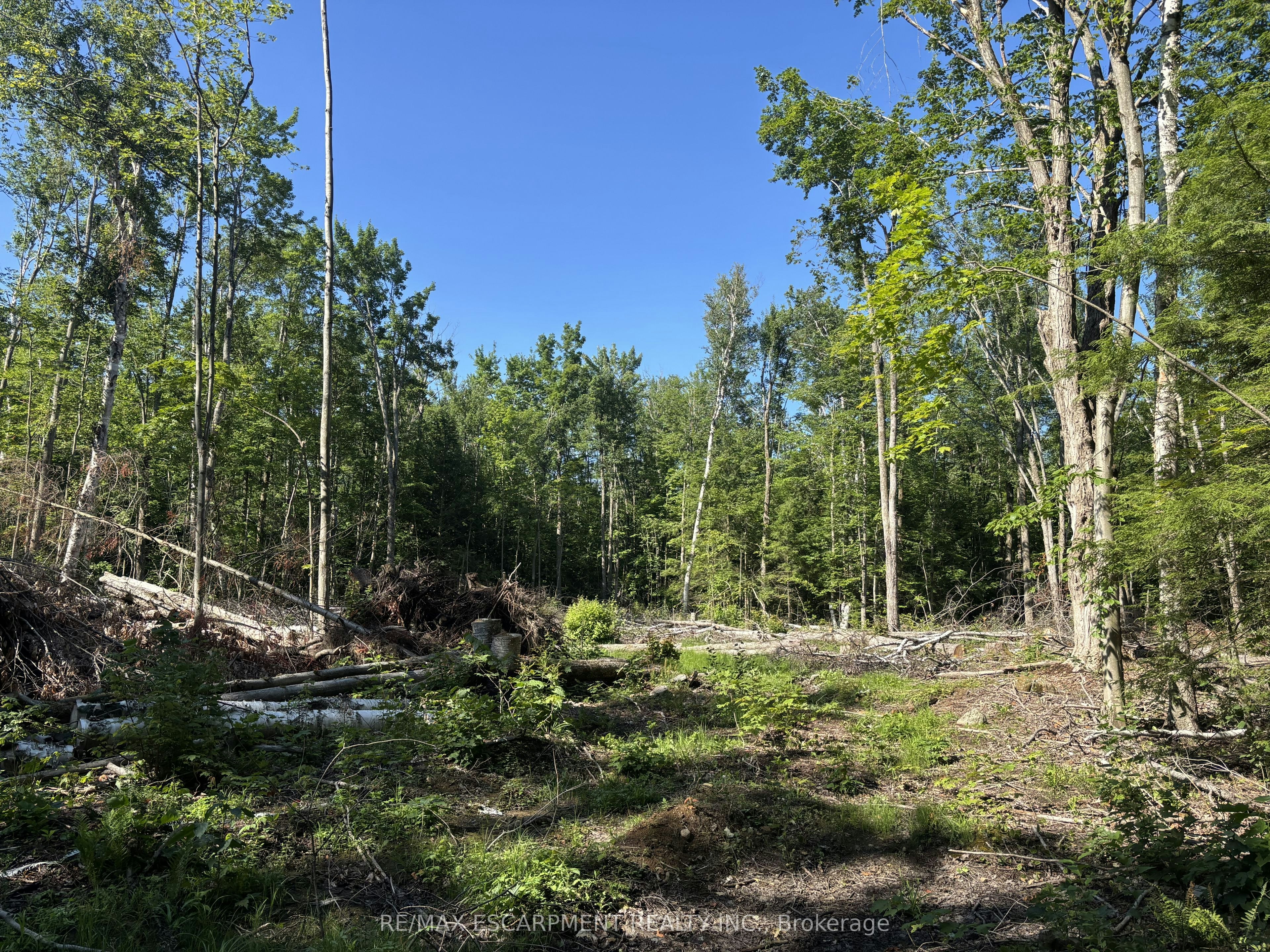5822 Line 8 N/A N, Oro-Medonte, ON, L0K 1N0 - 14