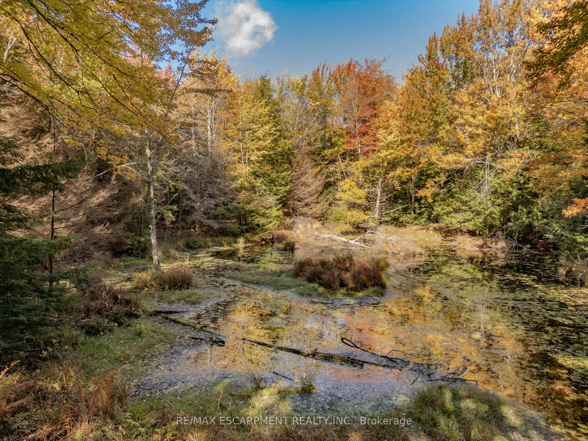 5822 Line 8 N/A N, Oro-Medonte, ON, L0K 1N0 - 8