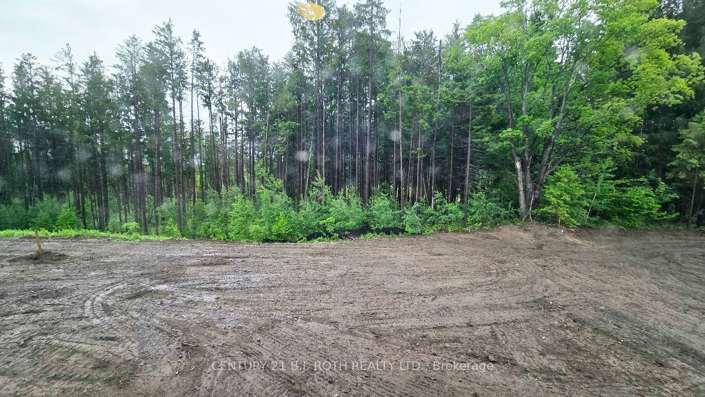 51 Ruby Ridge, Oro-Medonte, ON, L0L 2E0 - 18