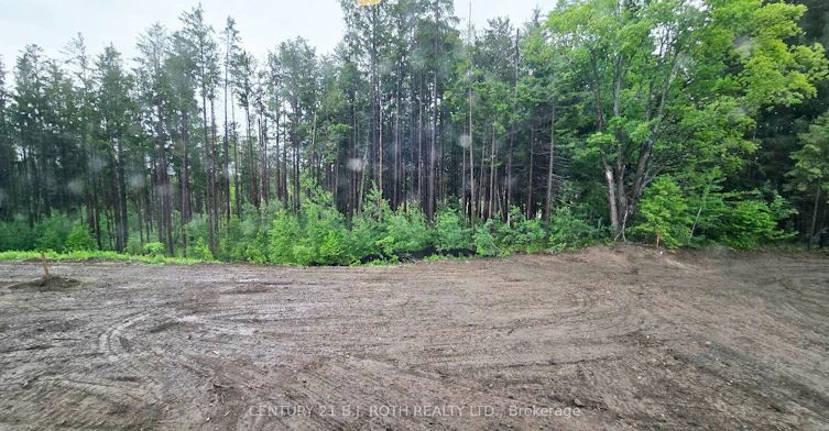 51 Ruby Ridge, Oro-Medonte, ON, L0L 2E0 - 18