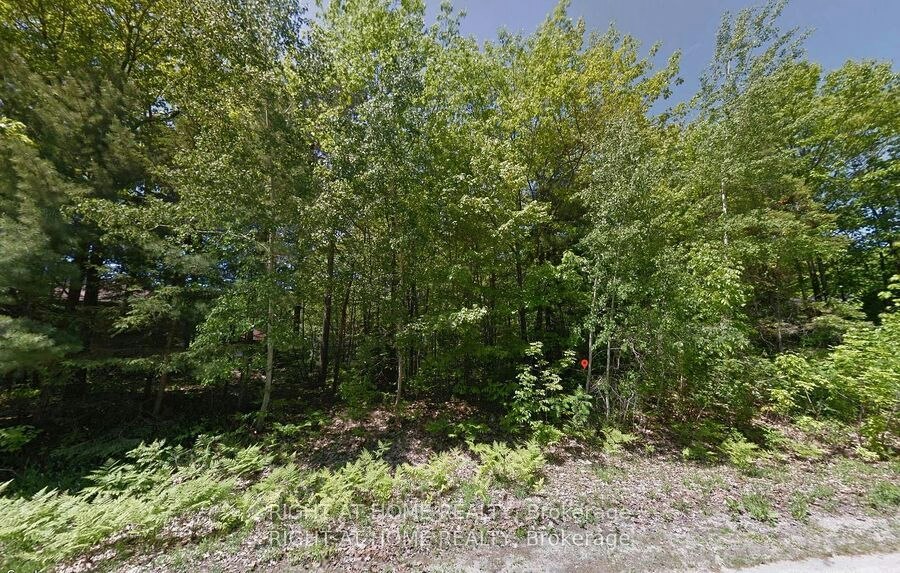 2 Birchwood Trail, Wasaga Beach, ON, L9Z 1B3