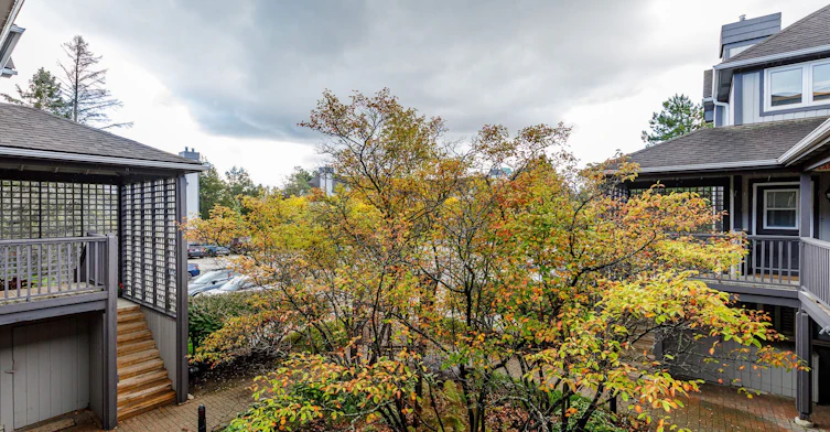 348 Mariners Way, Collingwood, ON, L9Y 5C7 - 3