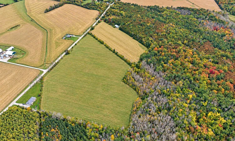 4165 Concession 12 Road