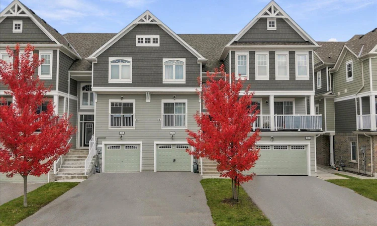 24 Hills Thistle Drive