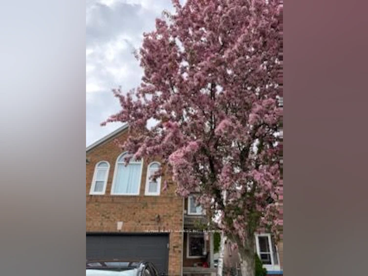41 Buttercup Lane, Brampton, ON, L6R 1N1 - 15