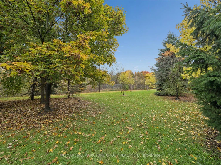 17-85 Church Street, Mississauga, ON, L5M 1M6 - 39
