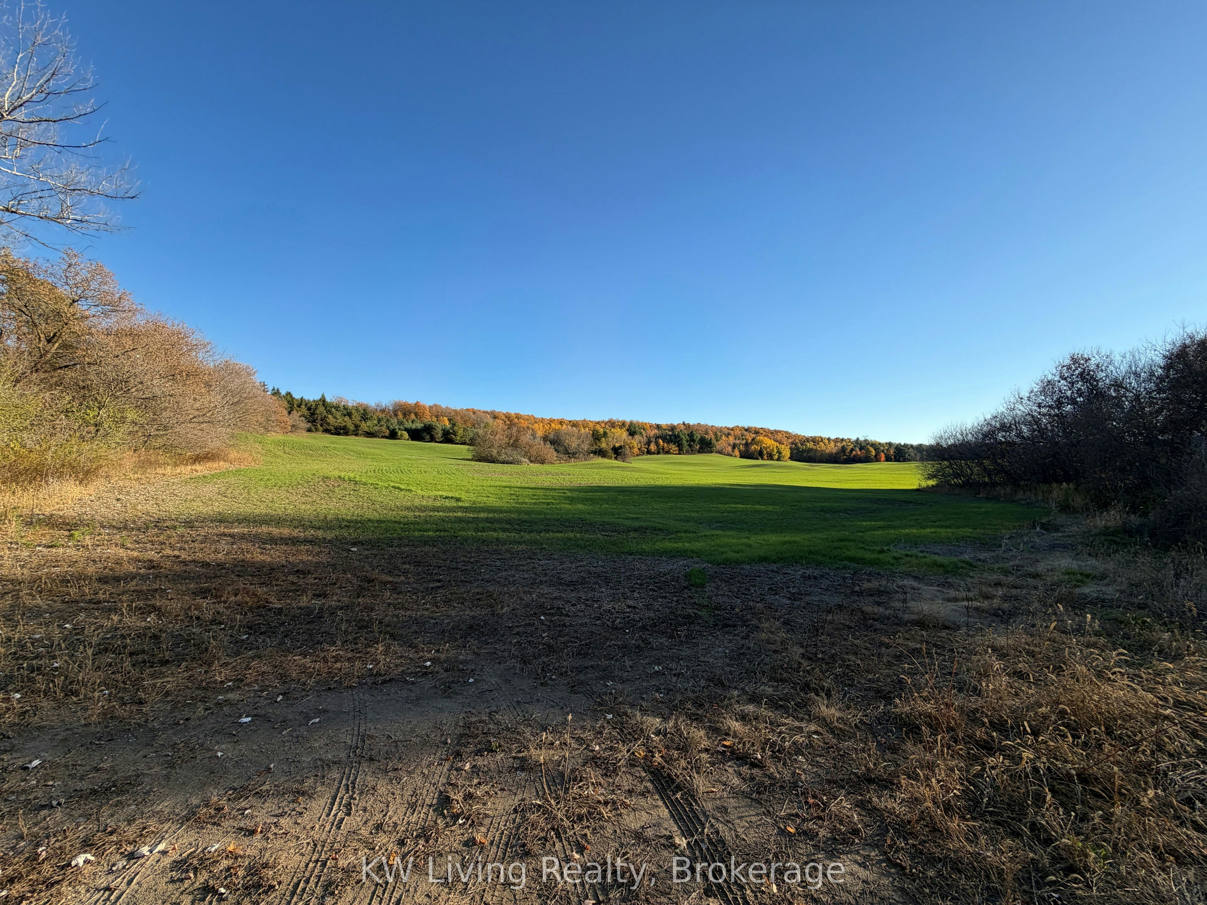 16724 Mount Wolfe Road, Caledon, ON, L7E 3P1