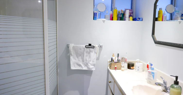 Lower-1026 Ossington Avenue, Toronto, ON, M6G 3V6 - 4