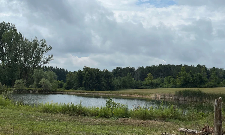 0 Shaws Creek Road