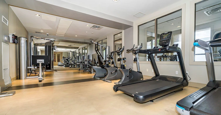 1411-388 Prince Of Wales Drive, Mississauga, ON, L5B 0A1 - 20