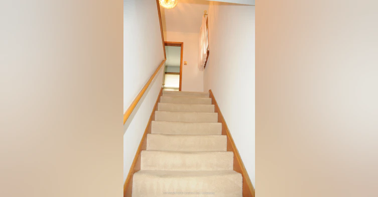 49 Algoma Street, Toronto, ON, M8Y 1C4 - 13