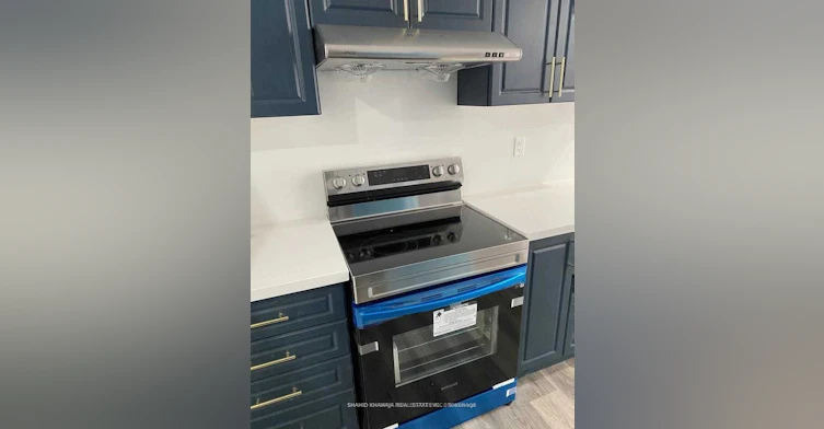 Bsmt-353 Blinco Terrace, Milton, ON, L9T 8Y8 - 13