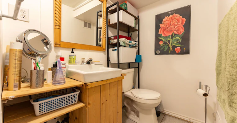Lower-57 Aziel Street, Toronto, ON, M6P 2N8 - 15
