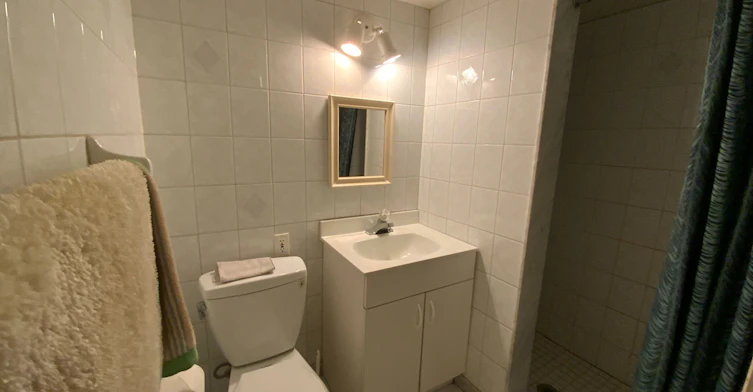2293 Delkus Crescent, Mississauga, ON, L5A 1K8 - 15