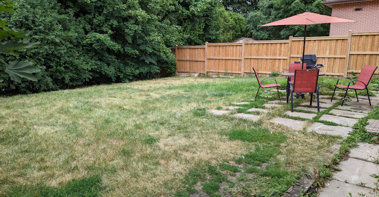 160 Mcmurchy Avenue S, Brampton, ON, L6Y 1Y9 - 21
