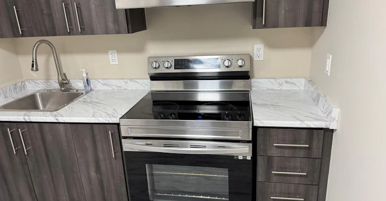 Basement-272 Duncan Lane, Milton, ON, L9T 7A8 - 3