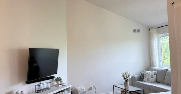 163-85 Bristol Road E, Mississauga, ON, L4Z 3P3 - 3