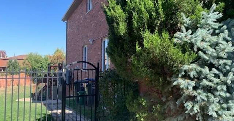 Upper Level-248 Breton Avenue, Mississauga, ON, L4Z 4K3 - 4