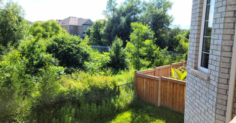 3182 Sunflower Drive, Oakville, ON, L6M 1N3 - 37