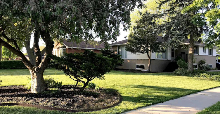 Main-2 Learmont Drive, Toronto, ON, M9R 2E3 - 12