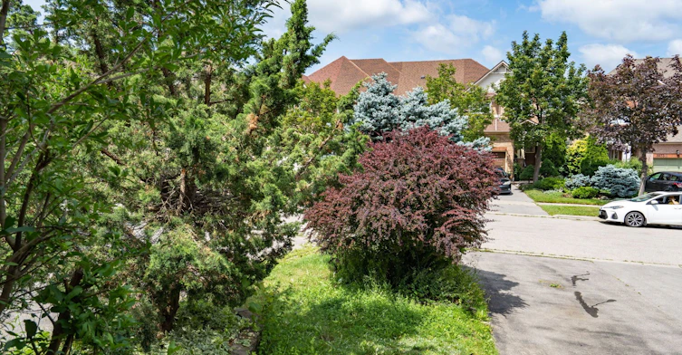 3974 Discovery Court, Mississauga, ON, L5N 7H8 - 9