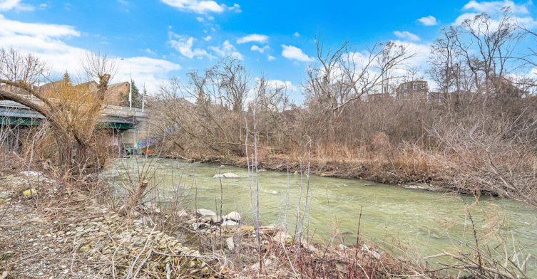 Lower-6 Bonnyview Drive, Toronto, ON, M8Y 3G6 - 24