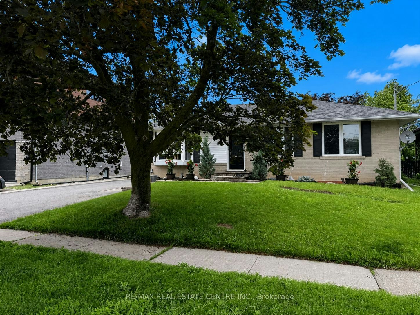 Basement-18 Mackenzie Drive, Halton Hills, ON, L7G 4B9 - 2