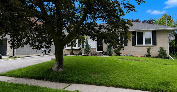 Basement-18 Mackenzie Drive, Halton Hills, ON, L7G 4B9 - 2