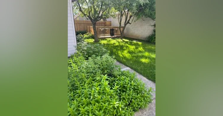 Basement Unit #1-97 Twelfth Street, Toronto, ON, M8V 3G9 - 15