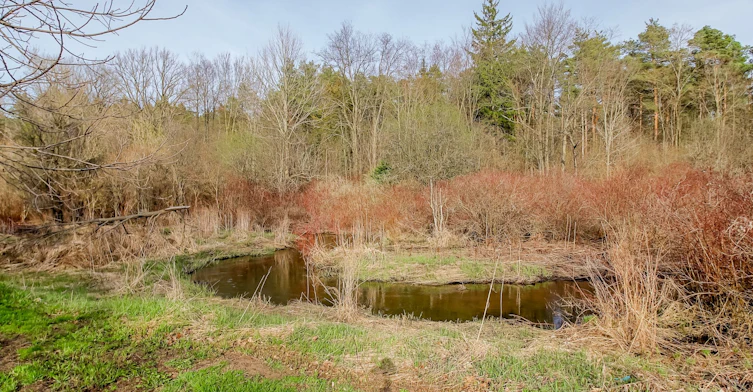 7555 Old Church Road, Caledon, ON, L7E 0P5 - 36