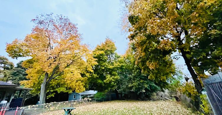Lower-54 Riverdale Drive, Toronto, ON, M9V 2T3 - 15