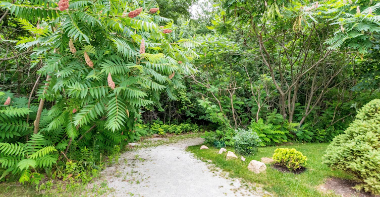 27 Lady Evelyn Cres Brampton Ontario Circle, Brampton, ON, L6Y 6C6 - 47