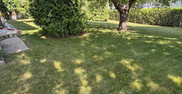 UPPER-300 Driftwood Avenue, Toronto, ON, M3N 2P1 - 6