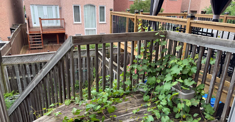 Upper-5959 Stonebriar Crescent, Mississauga, ON, L5V 2T8 - 25