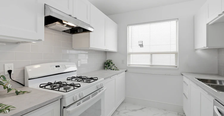105 Cavell Avenue, Toronto, ON, M8V 1P5 - 17