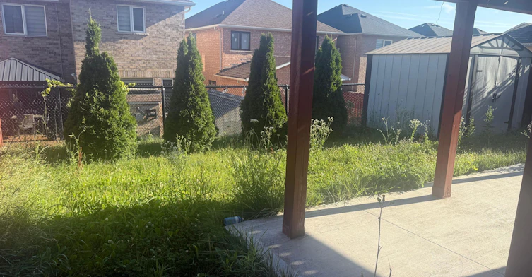 (Lower)-854 Knotty Pine Grove, Mississauga, ON, L5W 1K2 - 2