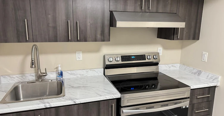 Basement-272 Duncan Lane, Milton, ON, L9T 7A8 - 2