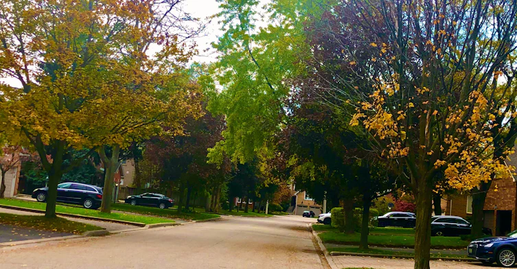 1543 Polesden Drive, Mississauga, ON, L5G 4P8