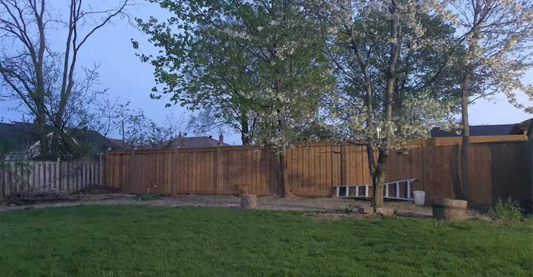 Main-9 Maldaver Avenue, Mississauga, ON, L5M 1W4 - 14