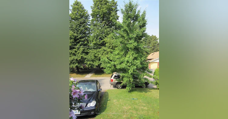 13 Tenth Street, Toronto, ON, M8V 3E7 - 21