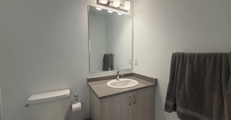 3384 Wrybill Path, Oakville, ON, L6H 8E4 - 8