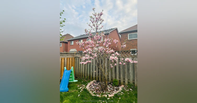 6026 Clover Ridge Crescent, Mississauga, ON, L5N 7B4 - 35