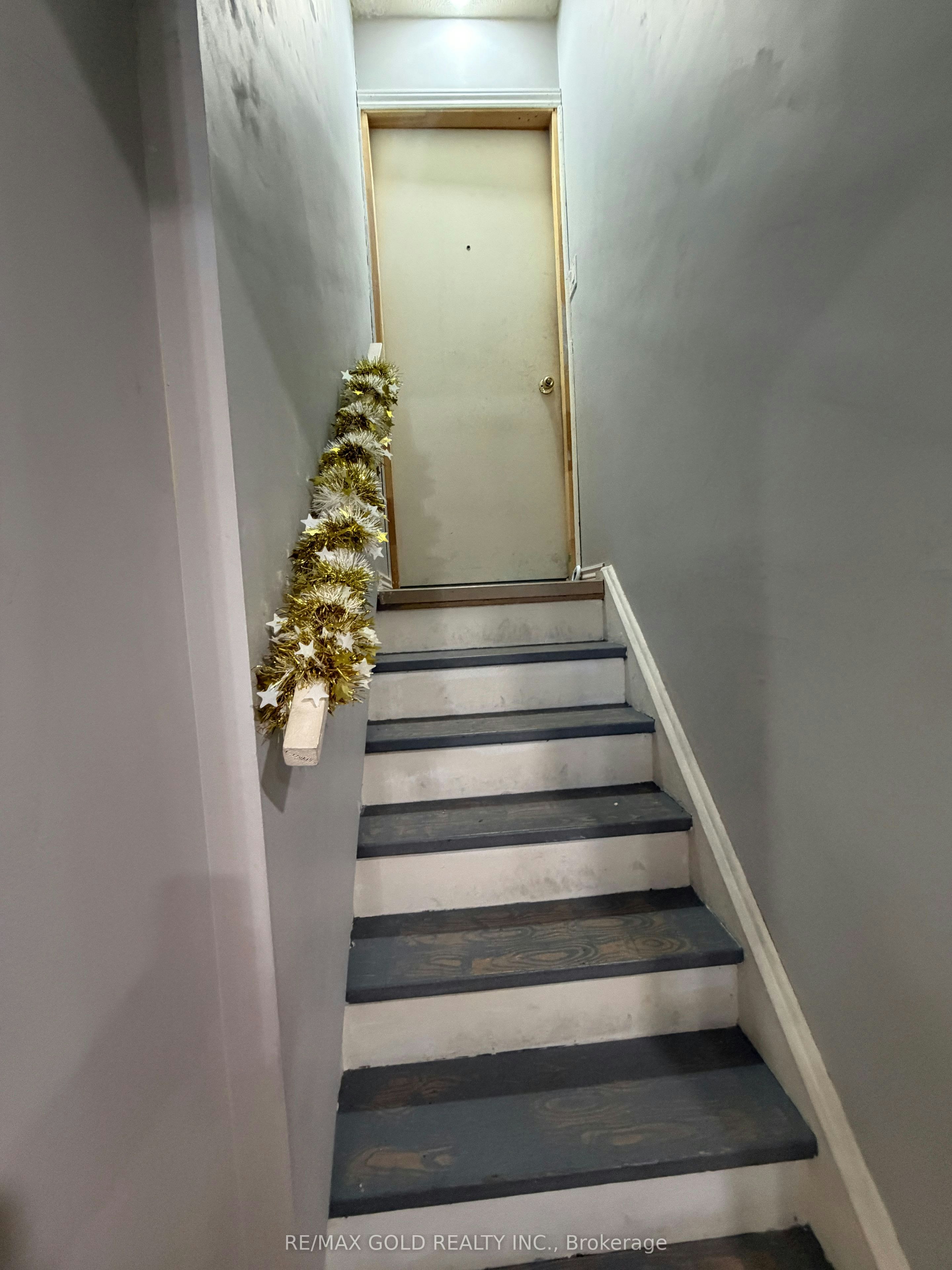 Basement-38 Carter Drive, Brampton, ON, L6V 3N5 - 3