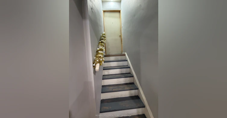Basement-38 Carter Drive, Brampton, ON, L6V 3N5 - 3