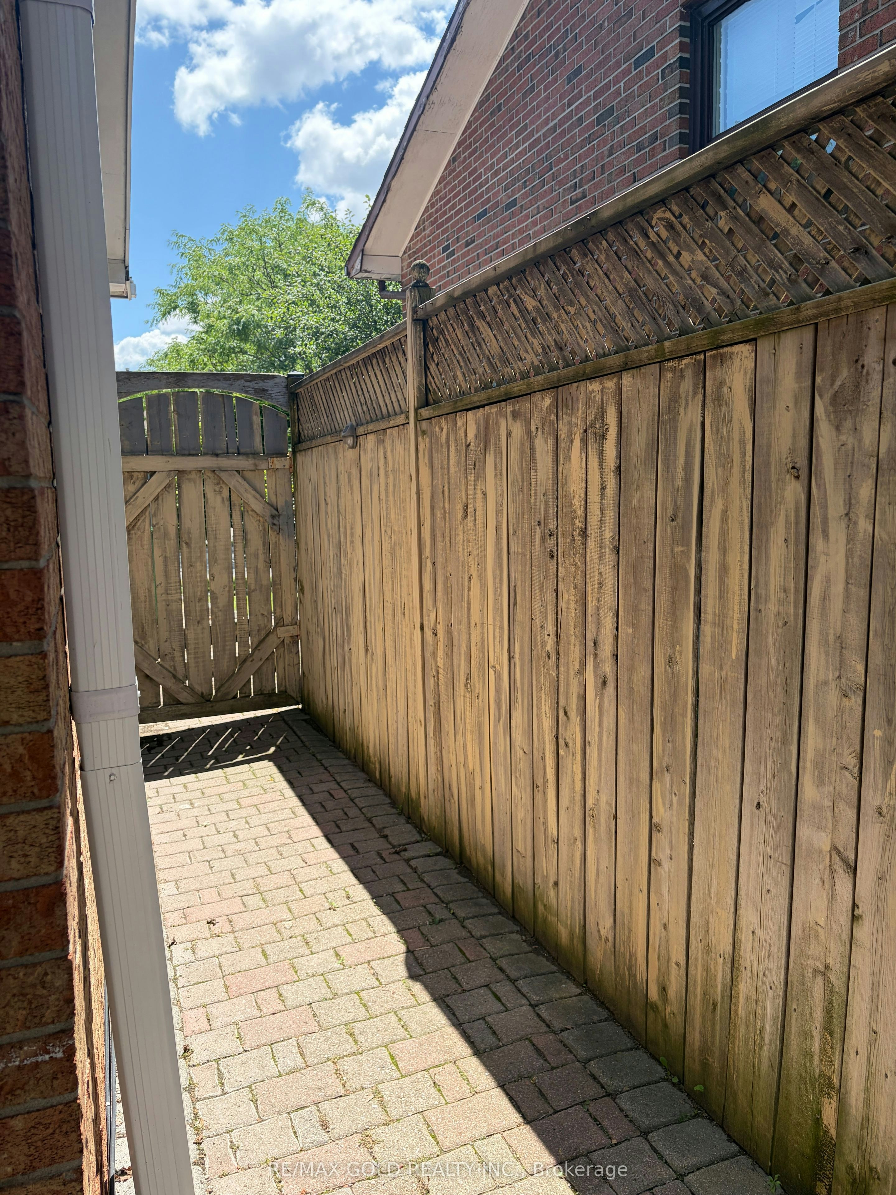 Basement-38 Carter Drive, Brampton, ON, L6V 3N5 - 2