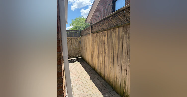 Basement-38 Carter Drive, Brampton, ON, L6V 3N5 - 2