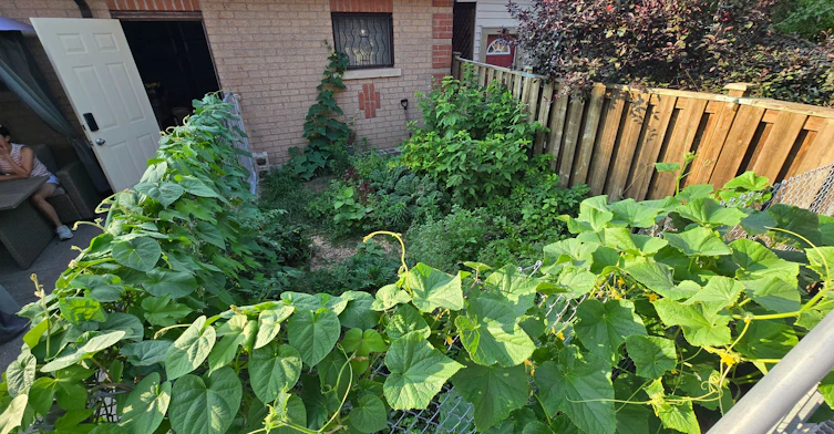 Basement-20 Edna Avenue, Toronto, ON, M6P 1B8 - 23