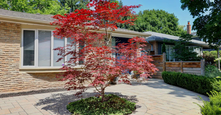 497 Anthony Drive, Oakville, ON, L6J 2K6 - 2