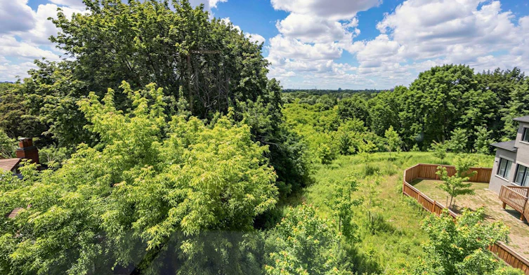 2996 Weston Road, Toronto, ON, M9M 2S7 - 33