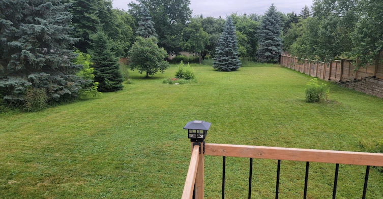 2566 2 Side Road, Burlington, ON, L7M 0T1 - 23